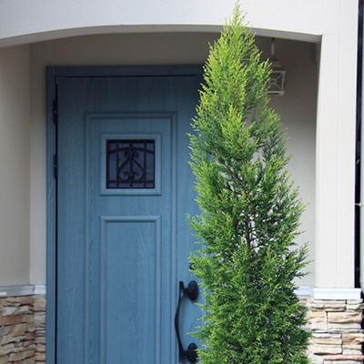 １つ目の投稿テスト